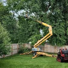 Best Lawn Dethatching Services  in Georgiana, AL